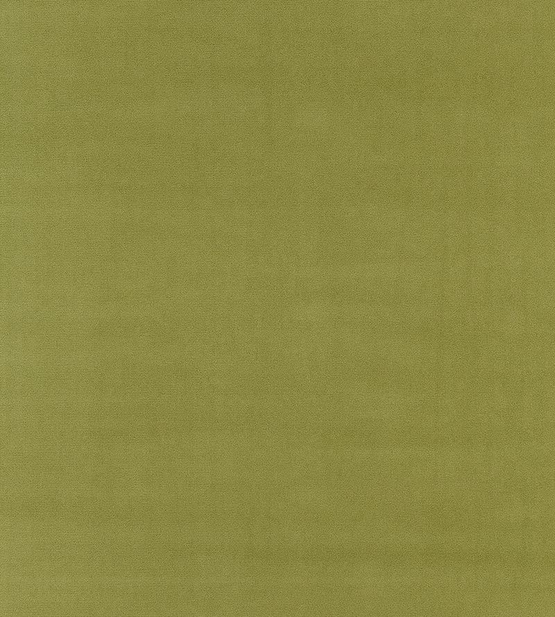 Boris Kroll Richmond Velvet Sage Fabric Sample BKK651220009
