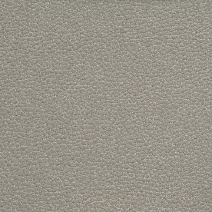 Kravet Contract Boone Chinchilla Fabric Sample BOONE.1611.0
