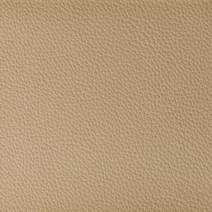 Kravet Contract Boone Dune Fabric Sample BOONE.16.0