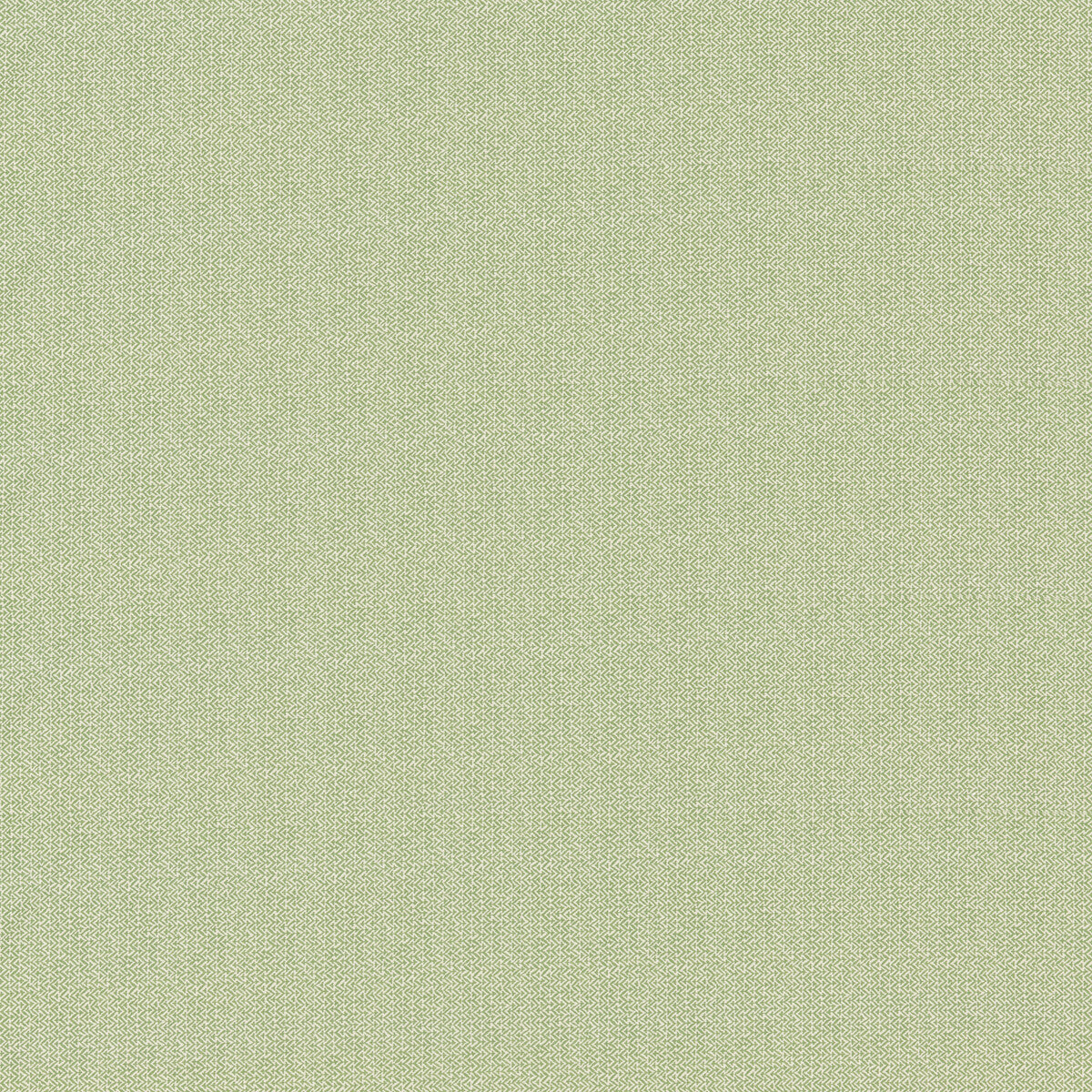 GP & J Baker Tilly Green Fabric Sample BP11004.735.0