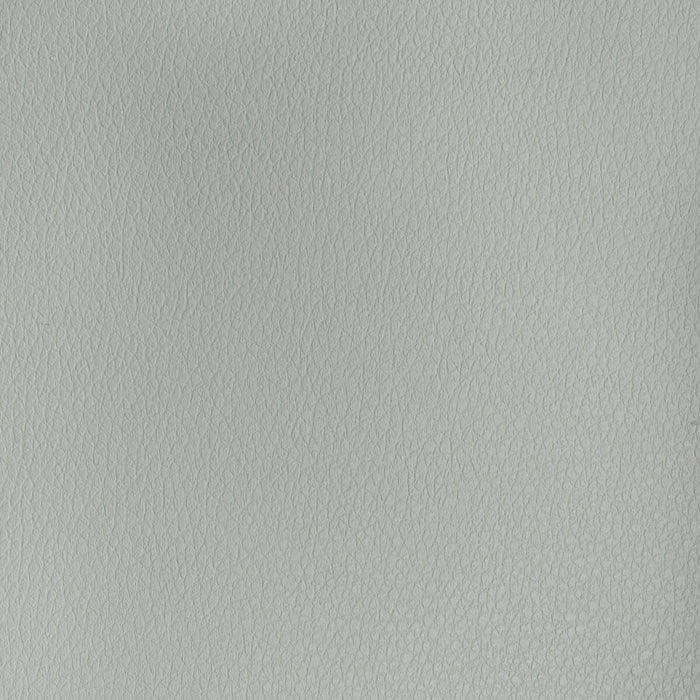 Kravet Design BUFF.11.0 Buff-11 Fabric Sample