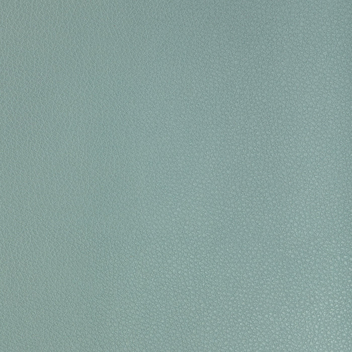 Kravet Design BUFF.313.0 Buff-313 Fabric Sample