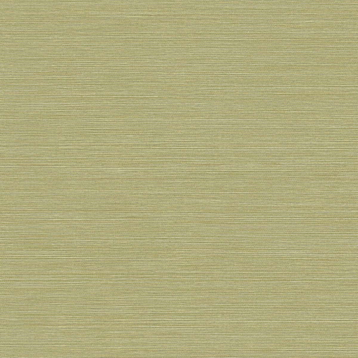 Seabrook Designs Coastal Hemp Lime Moss  Wallpaper BV30424