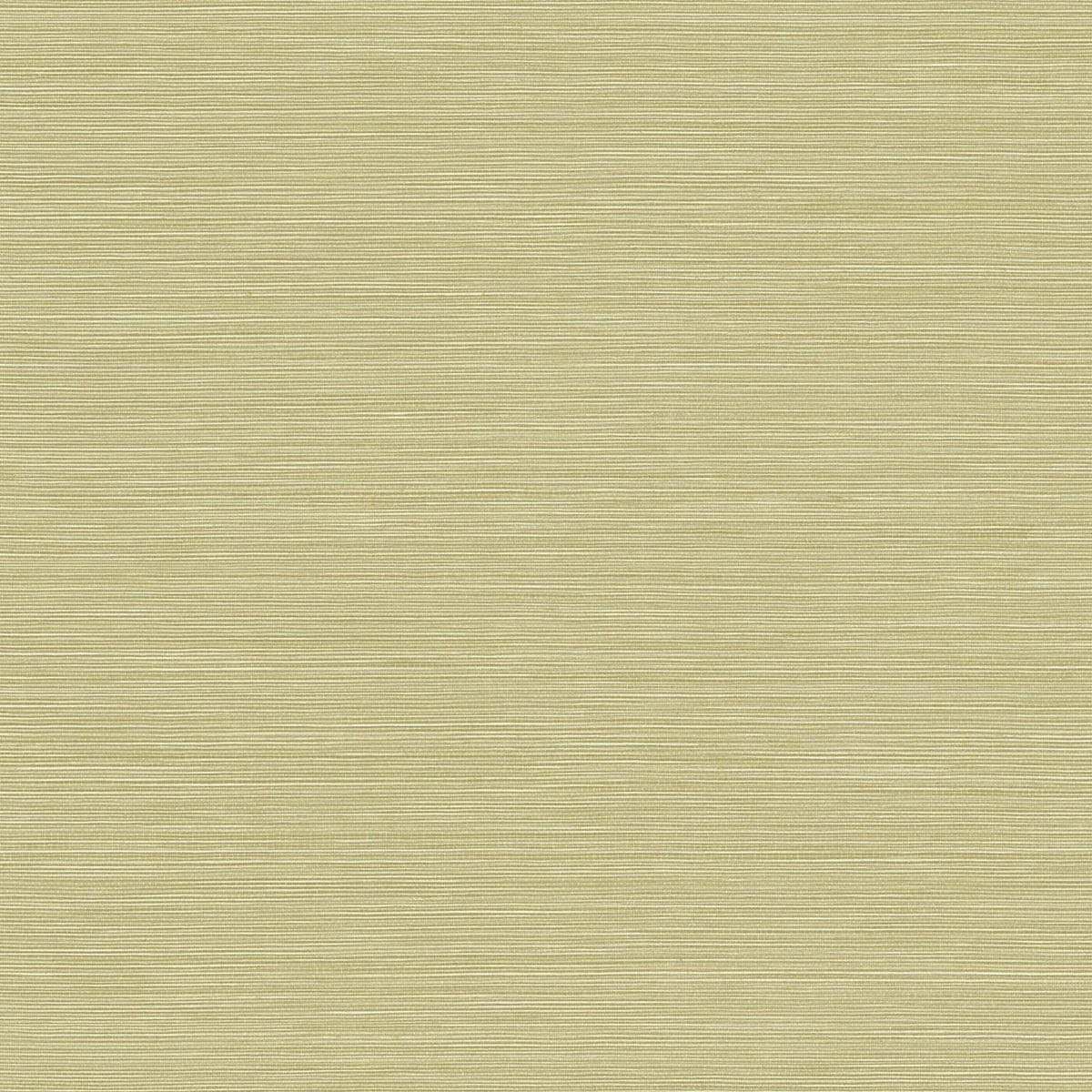 Seabrook Designs Coastal Hemp Aloe  Wallpaper BV30454