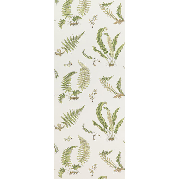 GP & J Baker Ferns Leaf Wallpaper Sample BW45044.10.0