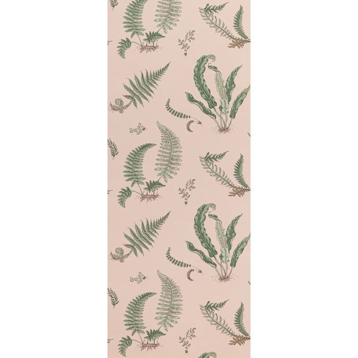 GP & J Baker Ferns Blush Wallpaper Sample BW45044.11.0