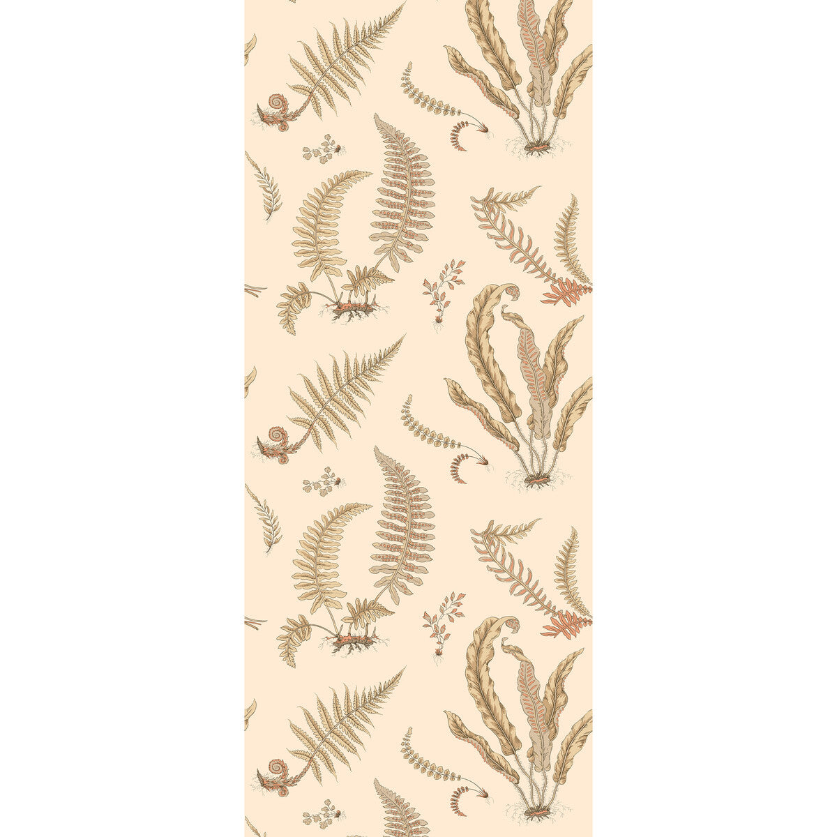 GP & J Baker Ferns Parchment Wallpaper Sample BW45122.2.0