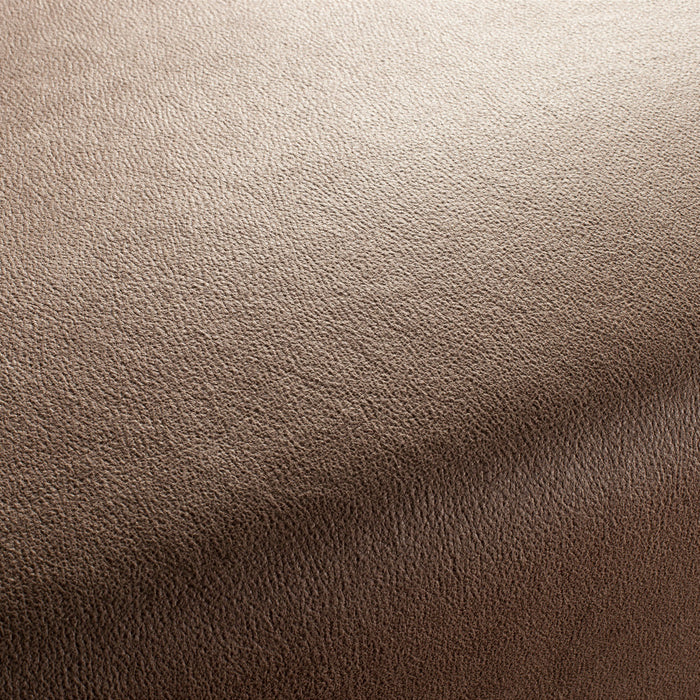 Carlucci Boxter 020 Fabric Sample CA1038/020