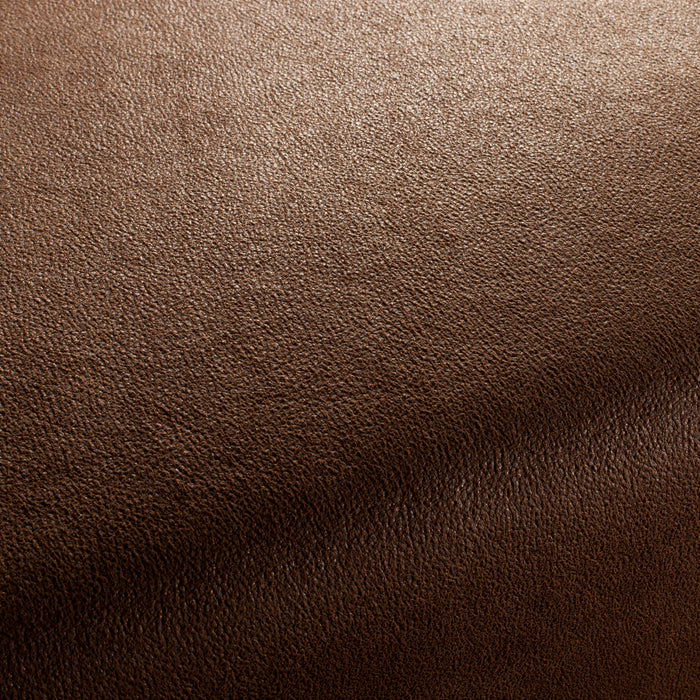 Carlucci Boxter 023 Fabric CA1038/023