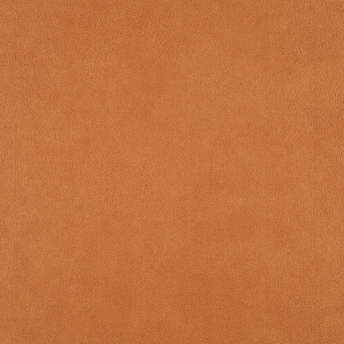 Carlucci Boxter 060 Fabric Sample CA1038/060