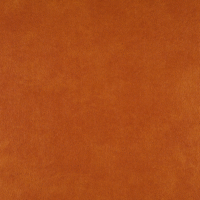 Carlucci Boxter 061 Fabric Sample CA1038/061