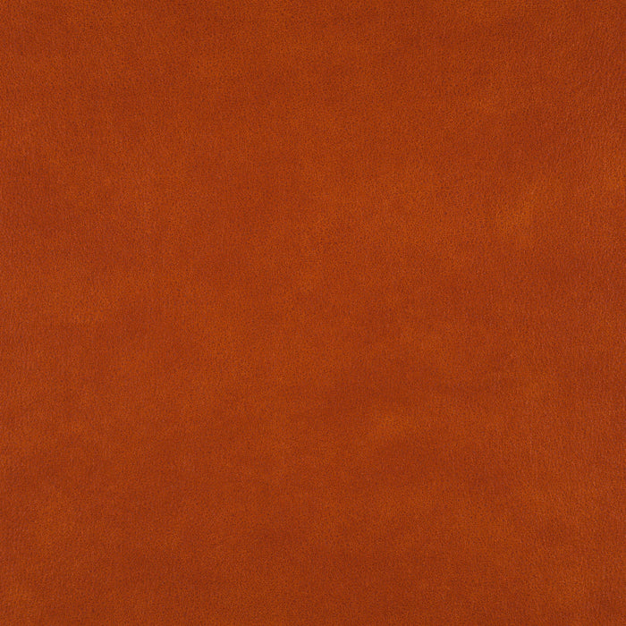 Carlucci Boxter 062 Fabric Sample CA1038/062