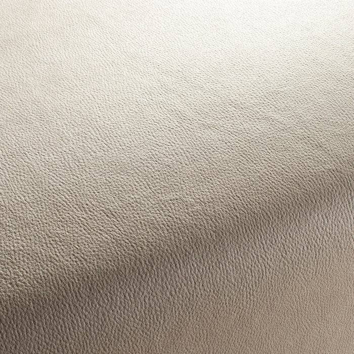 Carlucci Boxter 071 Fabric CA1038/071