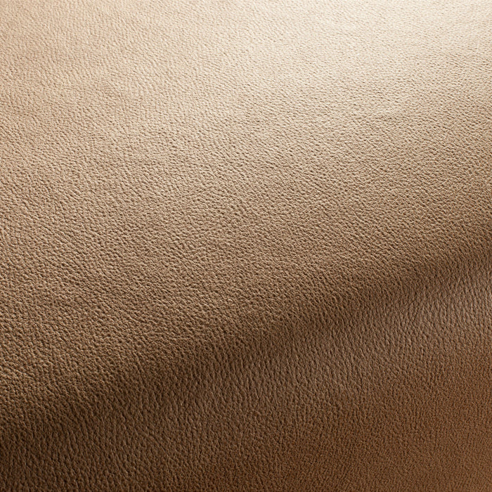 Carlucci Boxter 073 Fabric Sample CA1038/073
