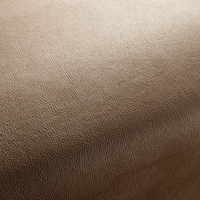 Carlucci Boxter 074 Fabric CA1038/074