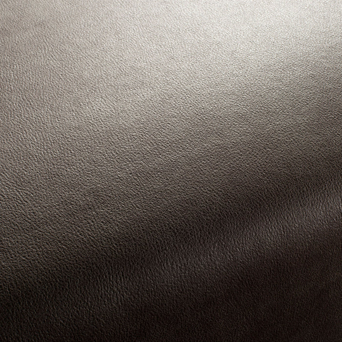 Carlucci Boxter 075 Fabric Sample CA1038/075