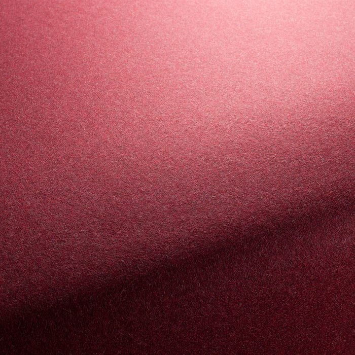 Carlucci Columbia Reloaded 012 Fabric Sample CA1166/012