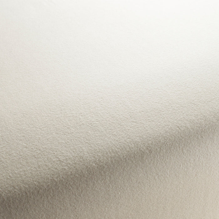 Carlucci Columbia Reloaded 070 Fabric Sample CA1166/070