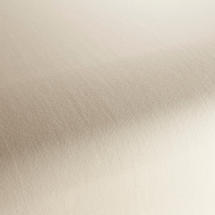Carlucci Columbia Reloaded 075 Fabric Sample CA1166/075
