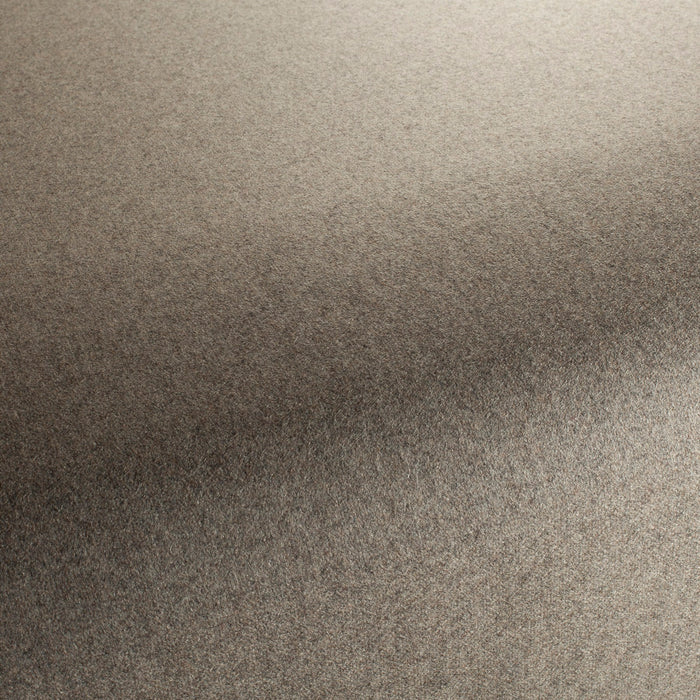 Carlucci Columbia Reloaded 094 Fabric CA1166/094