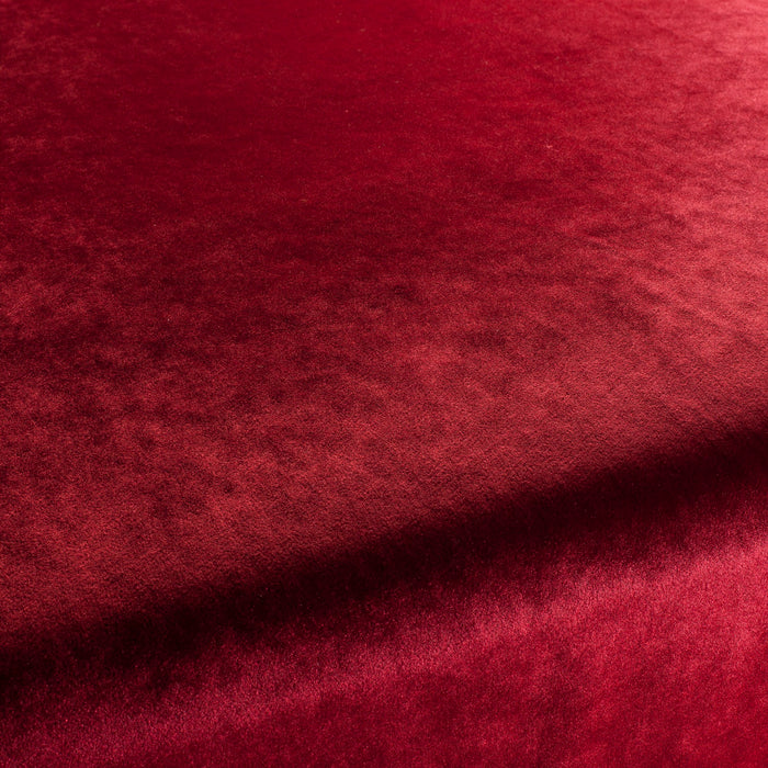 Carlucci Palazzo Velvet Reloaded 010 Fabric CA1175/010