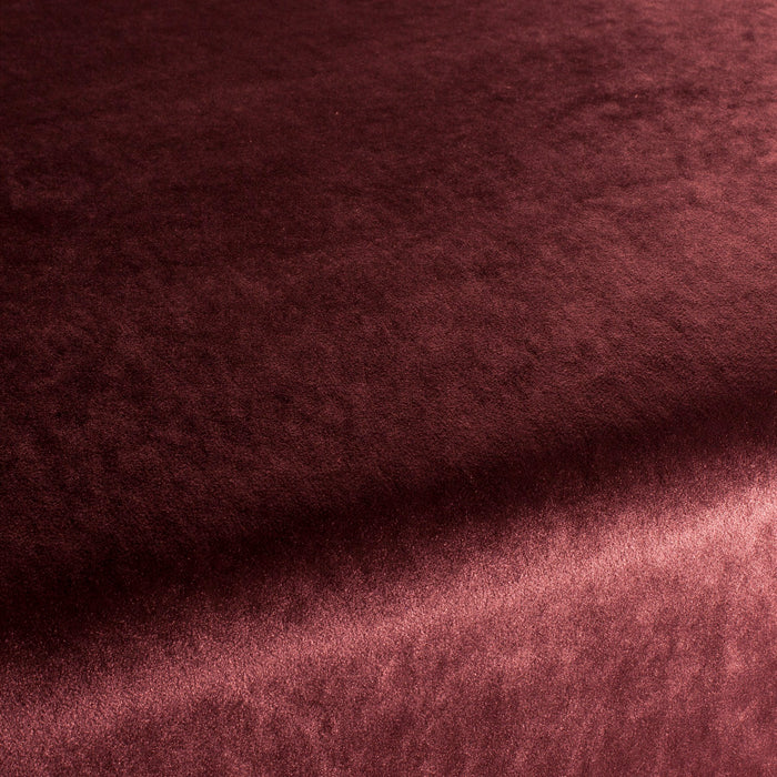 Carlucci Palazzo Velvet Reloaded 013 Fabric CA1175/013