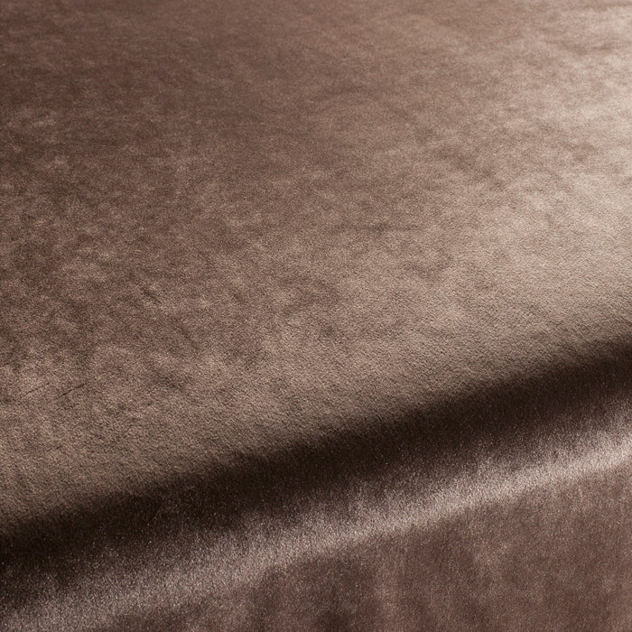 Carlucci Palazzo Velvet Reloaded 022 Fabric CA1175/022
