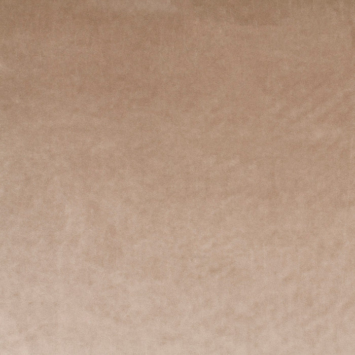 Carlucci Palazzo Velvet Reloaded 024 Fabric CA1175/024