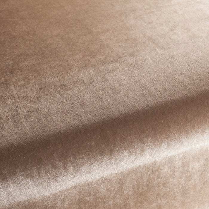 Carlucci Palazzo Velvet Reloaded 024 Fabric Sample CA1175/024