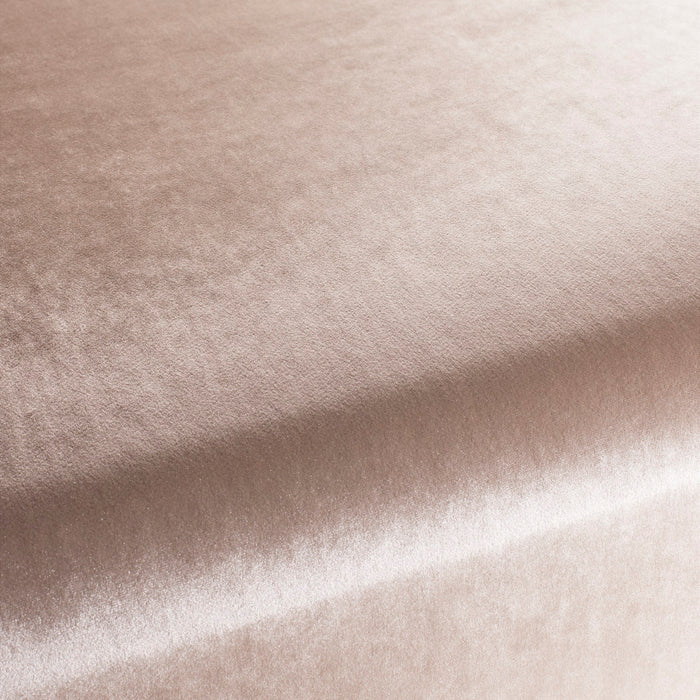 Carlucci Palazzo Velvet Reloaded 025 Fabric Sample CA1175/025