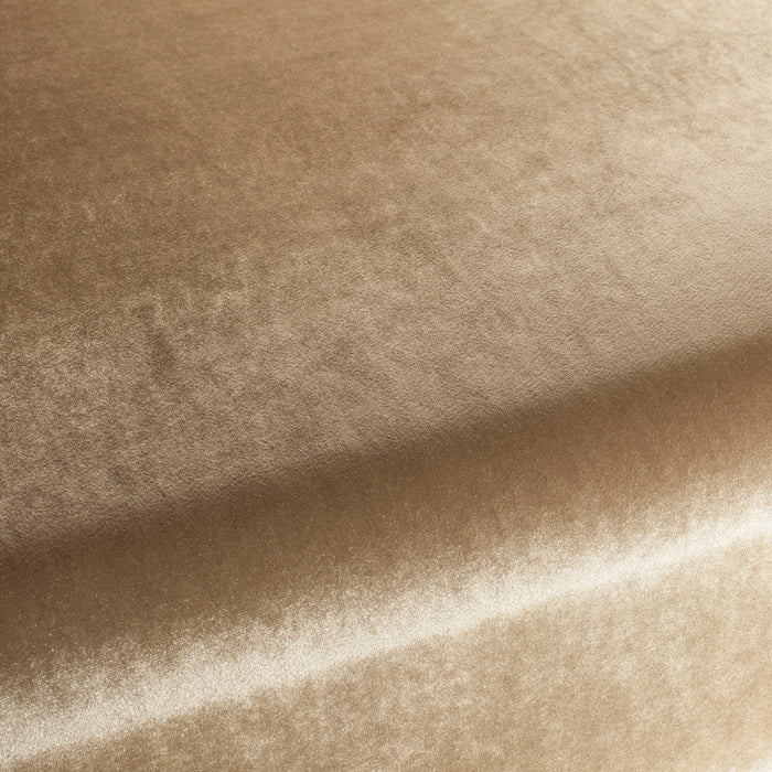 Carlucci Palazzo Velvet Reloaded 026 Fabric Sample CA1175/026
