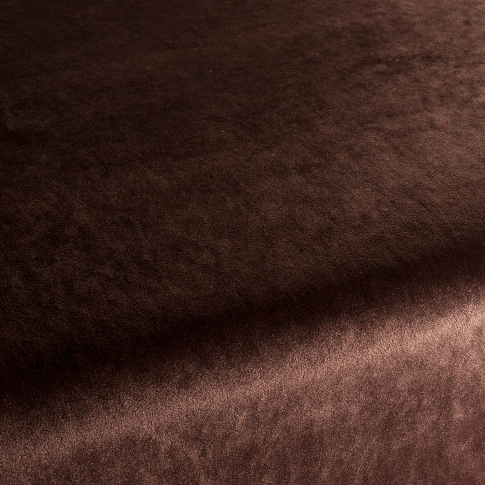 Carlucci Palazzo Velvet Reloaded 028 Fabric Sample CA1175/028