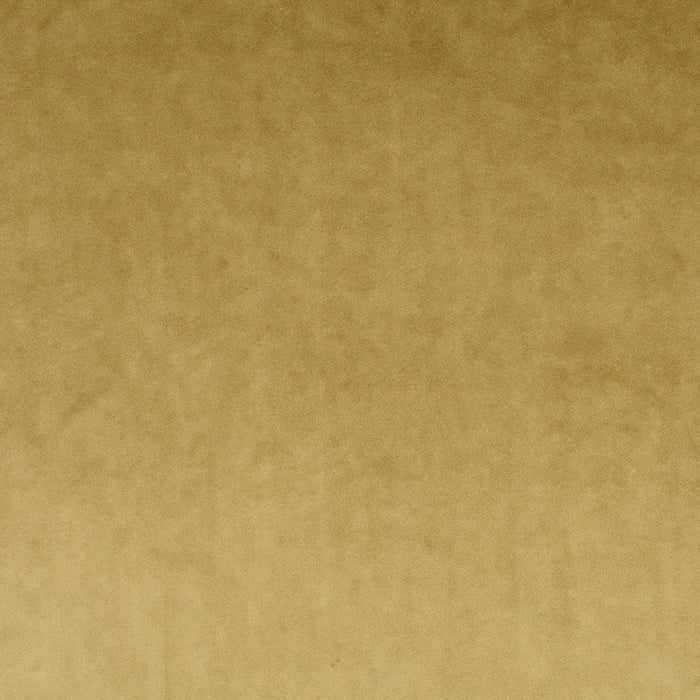 Carlucci Palazzo Velvet Reloaded 030 Fabric Sample CA1175/030