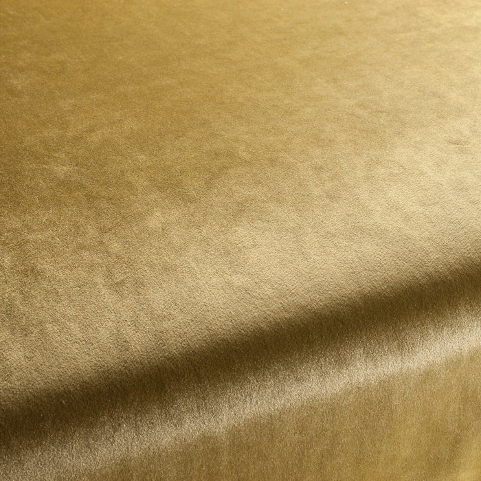 Carlucci Palazzo Velvet Reloaded 030 Fabric Sample CA1175/030