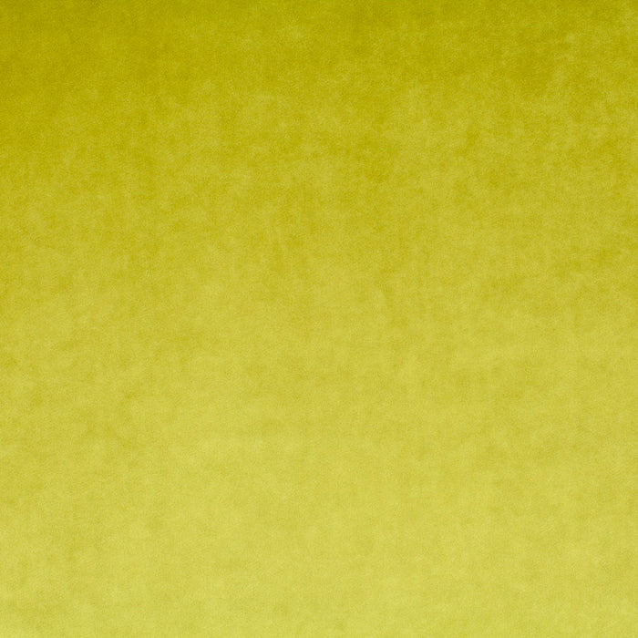 Carlucci Palazzo Velvet Reloaded 031 Fabric Sample CA1175/031