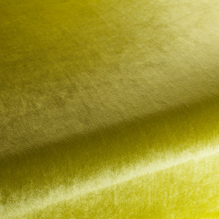 Carlucci Palazzo Velvet Reloaded 031 Fabric Sample CA1175/031