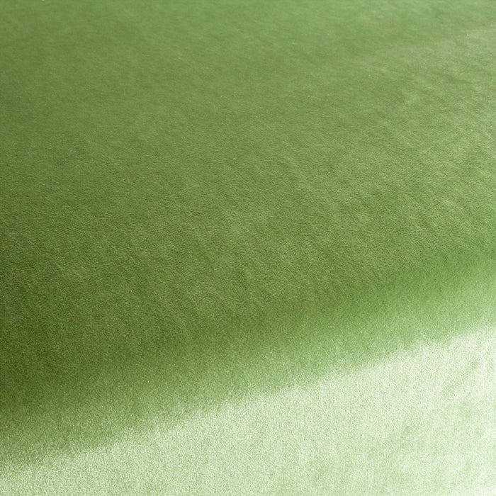 Carlucci Palazzo Velvet Reloaded 032 Fabric CA1175/032