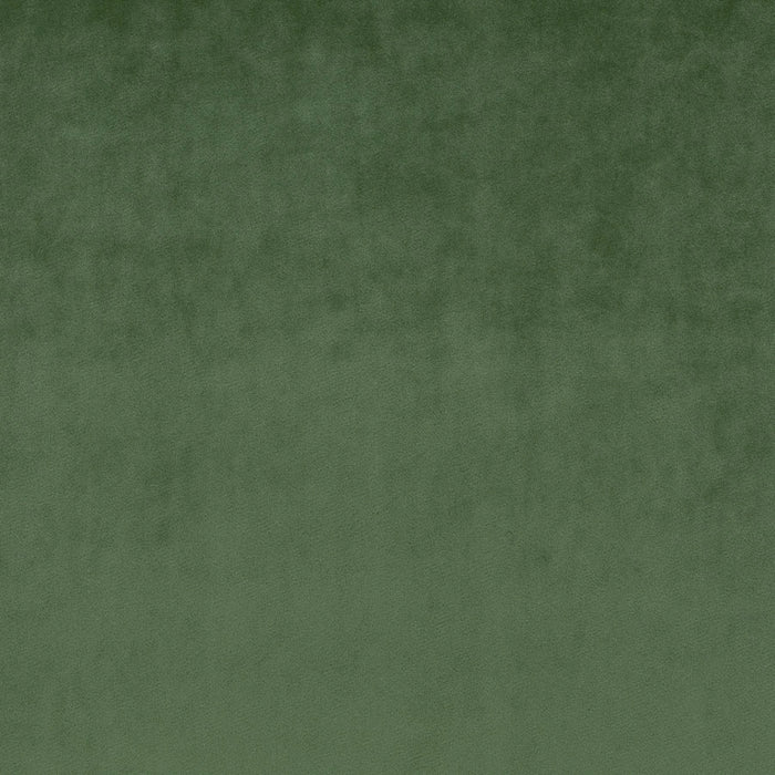 Carlucci Palazzo Velvet Reloaded 034 Fabric Sample CA1175/034