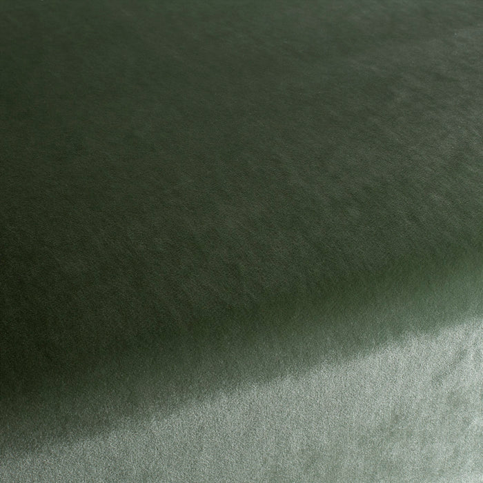 Carlucci Palazzo Velvet Reloaded 034 Fabric Sample CA1175/034