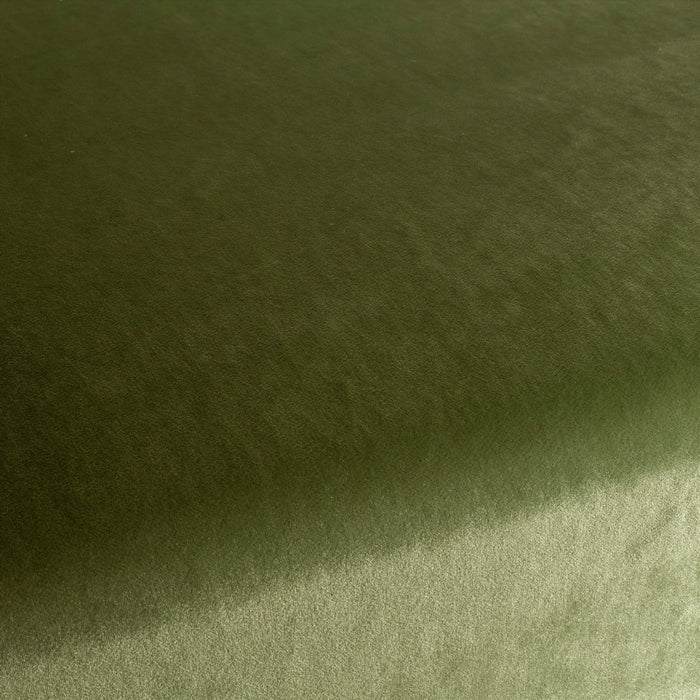 Carlucci Palazzo Velvet Reloaded 035 Fabric CA1175/035