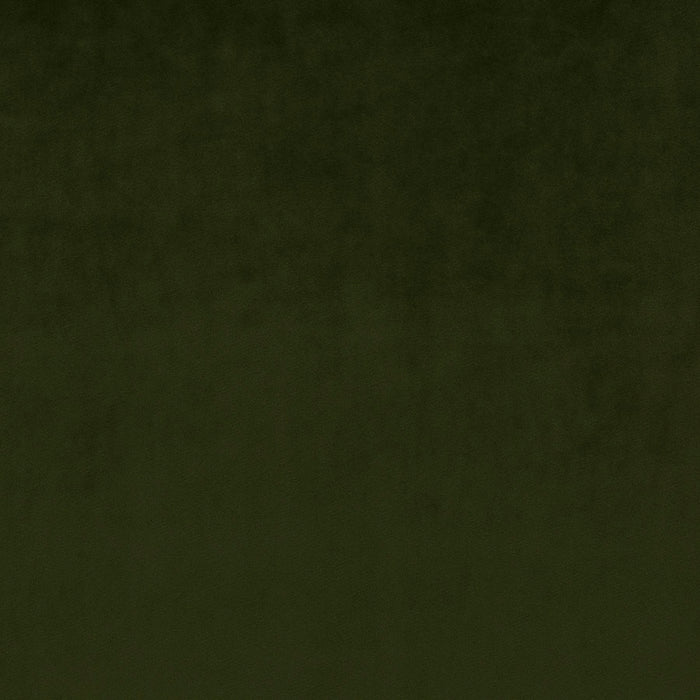 Carlucci Palazzo Velvet Reloaded 038 Fabric CA1175/038