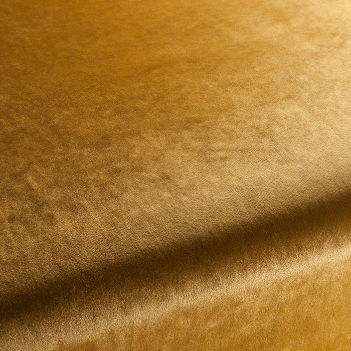 Carlucci Palazzo Velvet Reloaded 040 Fabric CA1175/040