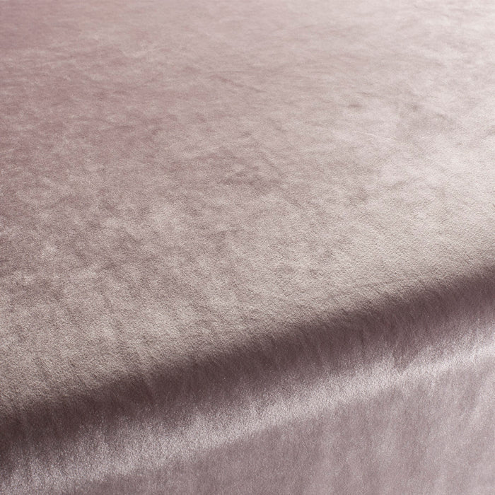 Carlucci Palazzo Velvet Reloaded 060 Fabric Sample CA1175/060