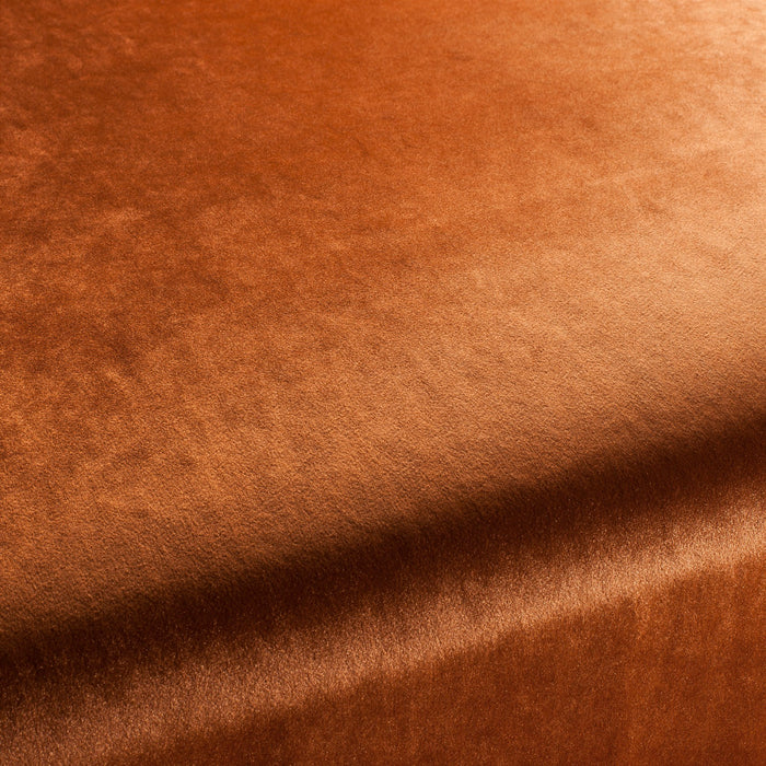 Carlucci Palazzo Velvet Reloaded 061 Fabric CA1175/061
