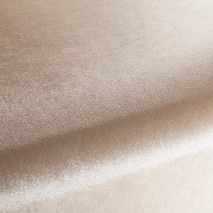 Carlucci Palazzo Velvet Reloaded 062 Fabric CA1175/062