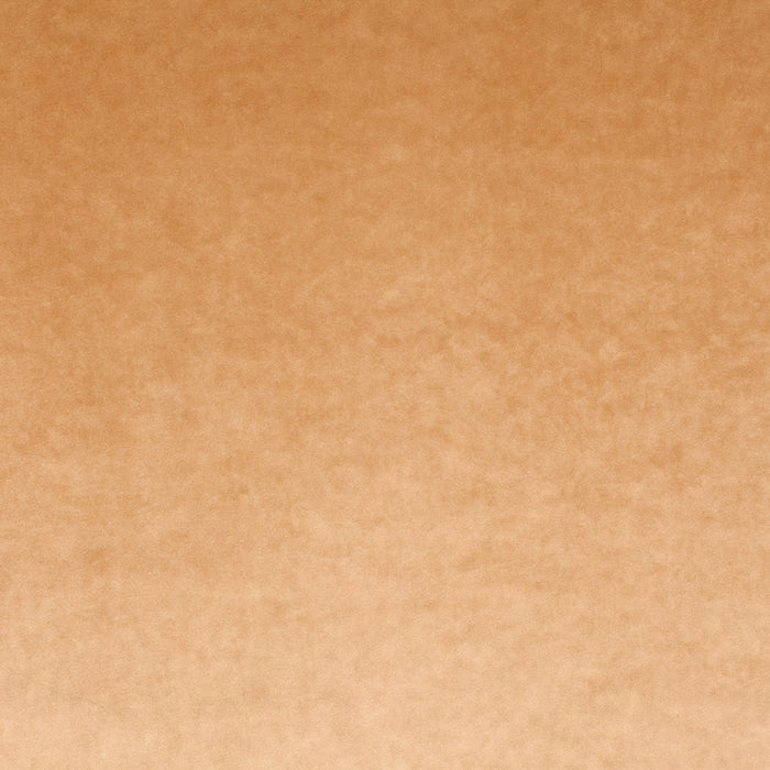 Carlucci Palazzo Velvet Reloaded 063 Fabric Sample CA1175/063