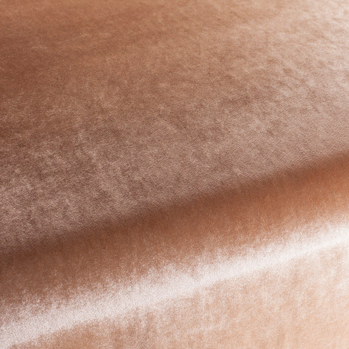 Carlucci Palazzo Velvet Reloaded 064 Fabric Sample CA1175/064