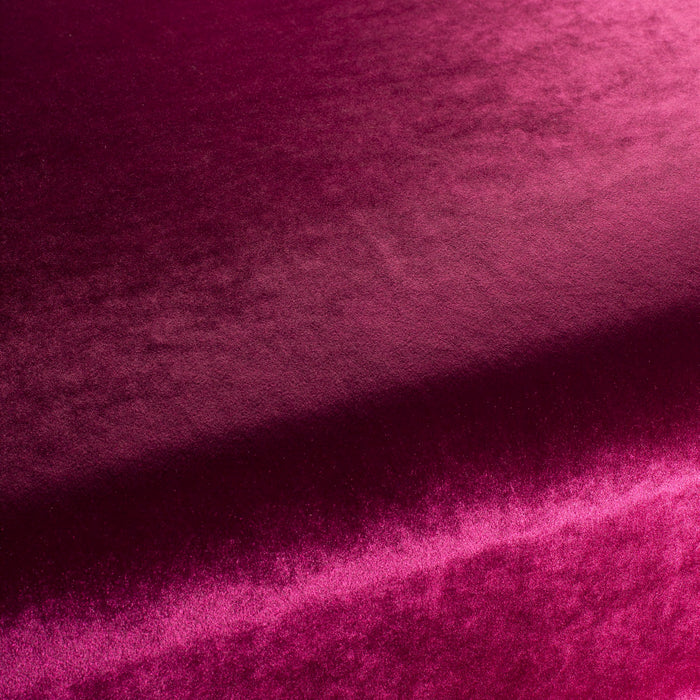 Carlucci Palazzo Velvet Reloaded 067 Fabric CA1175/067