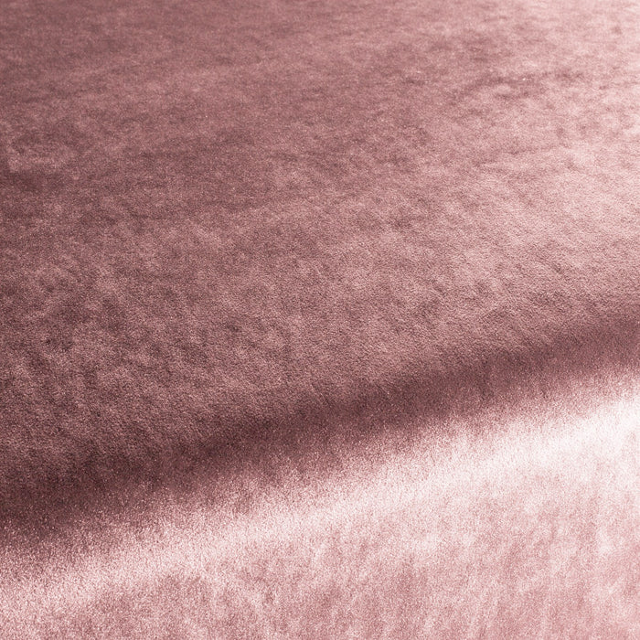 Carlucci Palazzo Velvet Reloaded 068 Fabric CA1175/068