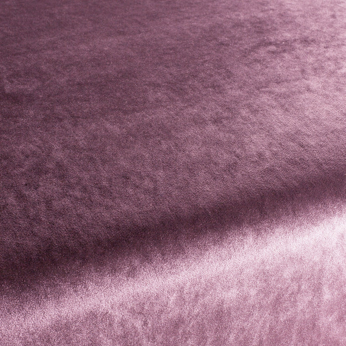 Carlucci Palazzo Velvet Reloaded 069 Fabric CA1175/069